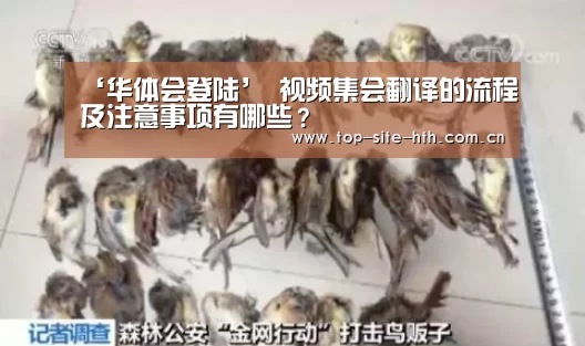 ‘华体会登陆’
视频集会翻译的流程及注意事项有哪些？(图3)