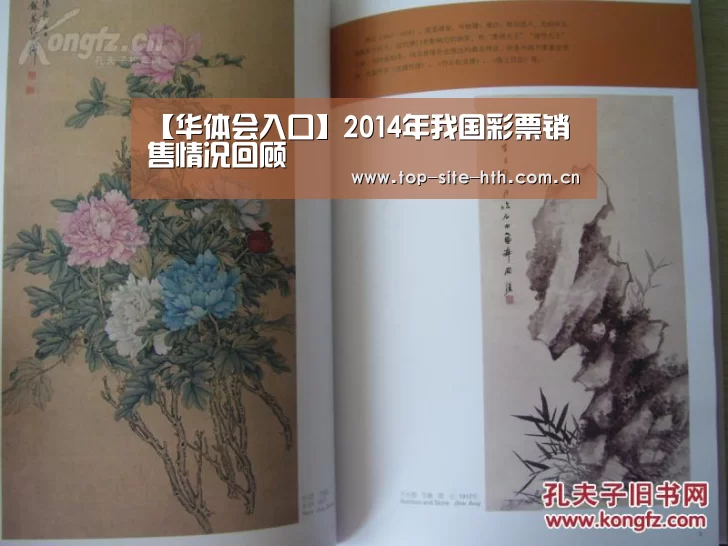 【华体会入口】2014年我国彩票销售情况回顾(图3)